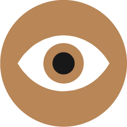 chapter4-icon