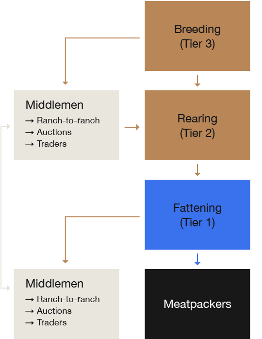 CH5-1.5-5