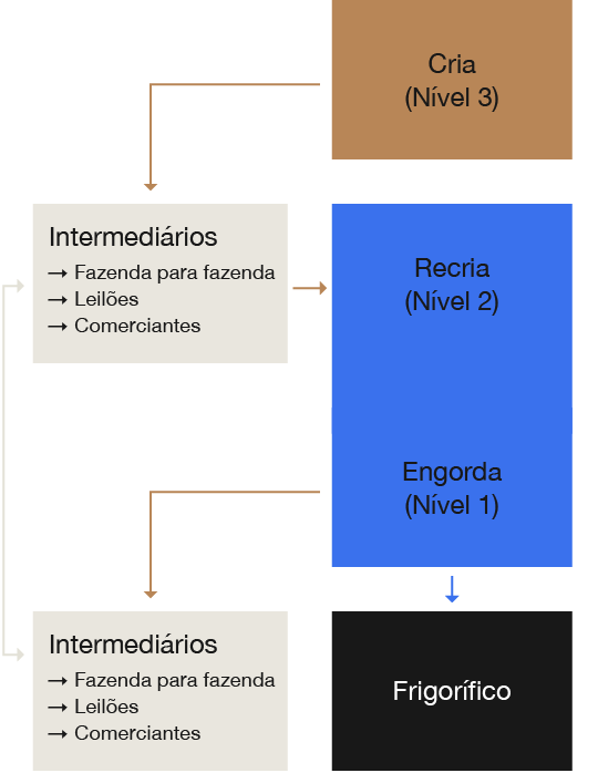 CH5-1.3-Mobile